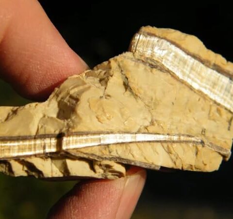 Natural Rought Raw Crystal Stones for Meditation, Healing, Feng Shui, Chakra Healing, Decor and Manifesting Abundance - 100 Grams (Natural Serpentine)