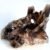 Smoky Quartz Original Certified AAA Grade Brazilian Natural Cluster Raw Crystal Stone for Healing and Meditation (85 to 500 Grams)