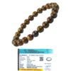 Natural Bronzite Bracelet Lab Certified AAA Grade 8mm Stretchable Original Real Crystal Bracelet For Grounding, and Root Chakra Balancing