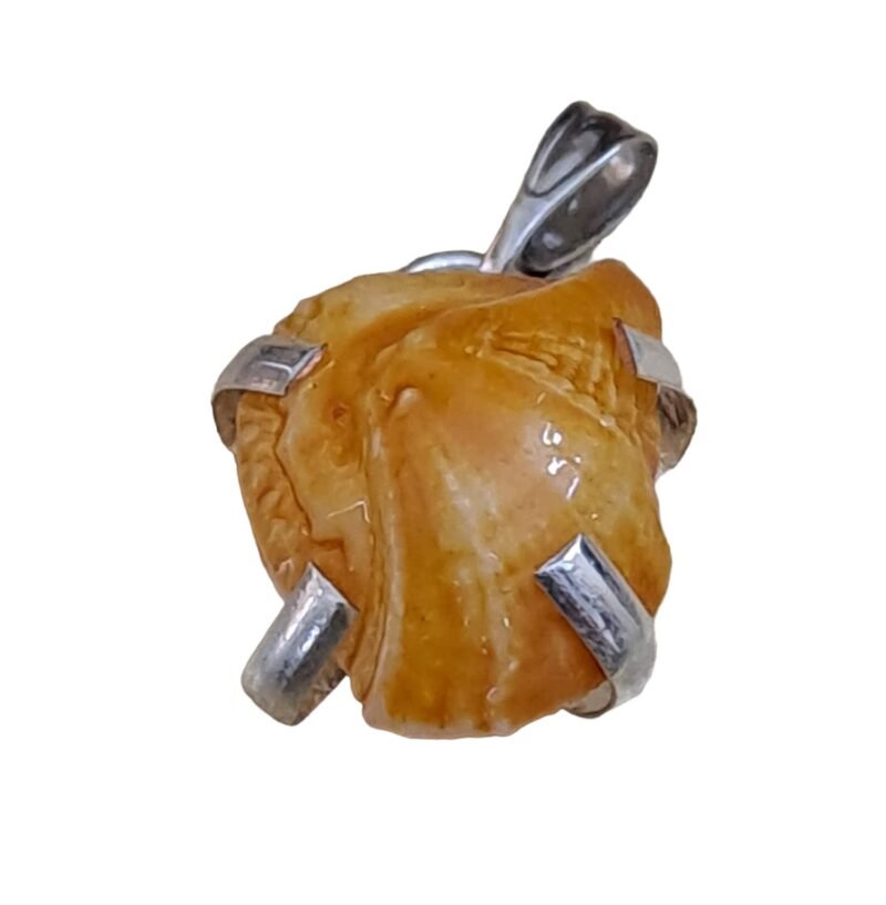 Divine Natural Lab Certified Machh Mani Pendant Sea stone Pendant Reduces and Removes Rahu Impact. (Meen Mukta, Fish Stone, Fish Pearl) - Image 7