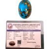 Real Original Firoza Turquoise Gemstone for Men and Women ? Oval Shaped for Ring and Pendant Premium Turquoise Jewellery - The Stone of Compassion and Success 11.68 Carat