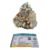 Golden Pyrite Big Stone Original Crystal Lab Certified Cluster Geode - High Energy Natural Iron Pyrite Stone Gold Rock Reiki Crystal Stone For Abundance (740 Grams) with Pine Wood Box