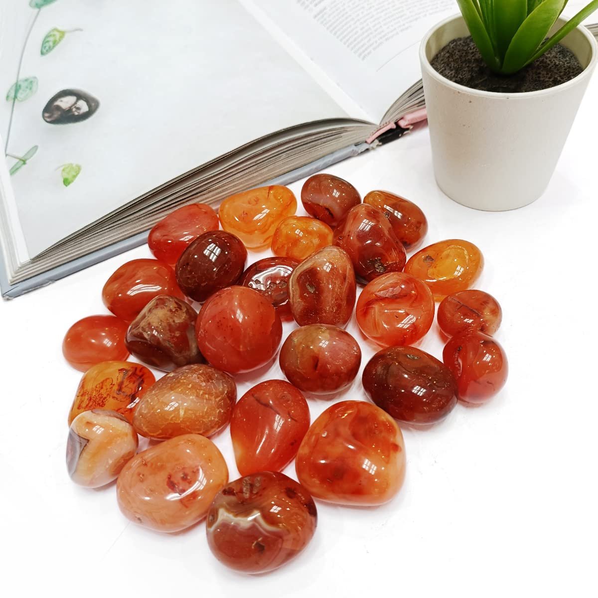 Divinity Healing Crystals Natural Tumble Stone Crystal Tumble Stone Crystals Gemstones Tumbled Pebble Stones for Reiki Healing ( Red Carnelian Tumbled Stone ) Value Pack Of 2