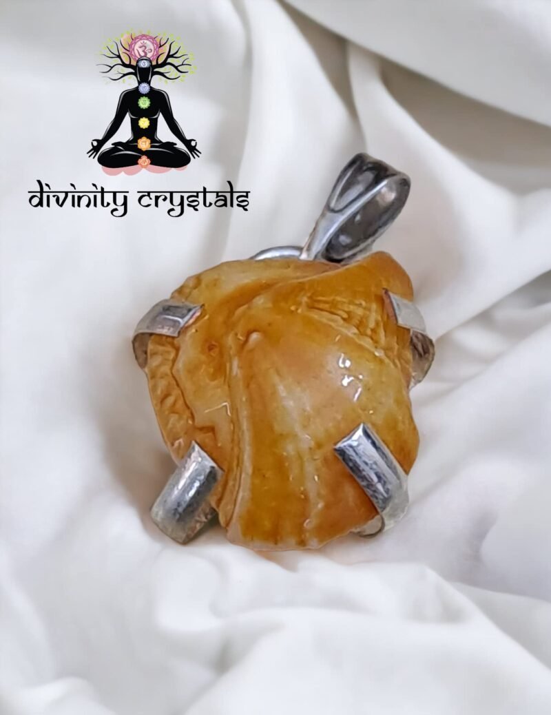 Divine Natural Lab Certified Machh Mani Pendant Sea stone Pendant Reduces and Removes Rahu Impact. (Meen Mukta, Fish Stone, Fish Pearl) - Image 6