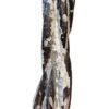 Natural Orthoceras Fossil Lab Certified Matrix Tower, Orthoceras Tower Polished Fossil Sculpture – Exquisite Piece from Morocco – Devonian Era | Weight 4500 Grams – 17 Inches Height |