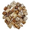 Divine Spirituals Natural Petrified Wood Tumble Pebbles Stones for Reiki Healing Financial Abundance, Wealth, Will Power and Prosperity