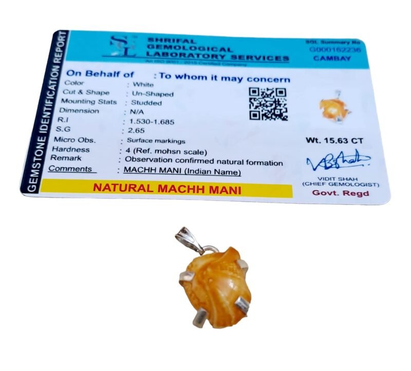 Divine Natural Lab Certified Machh Mani Pendant Sea stone Pendant Reduces and Removes Rahu Impact. (Meen Mukta, Fish Stone, Fish Pearl)