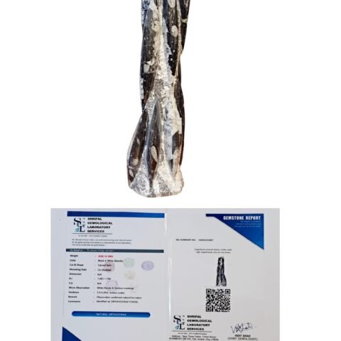 Natural Orthoceras Fossil Lab Certified Matrix Tower, Orthoceras Tower Polished Fossil Sculpture – Exquisite Piece from Morocco – Devonian Era | Weight 4500 Grams – 17 Inches Height |