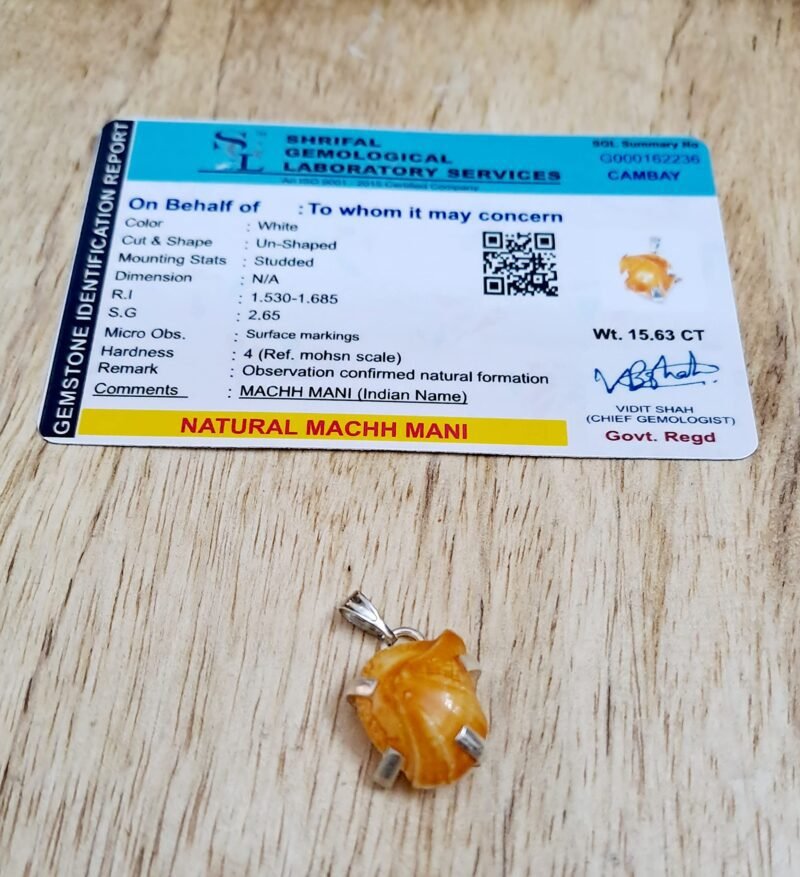 Divine Natural Lab Certified Machh Mani Pendant Sea stone Pendant Reduces and Removes Rahu Impact. (Meen Mukta, Fish Stone, Fish Pearl) - Image 8