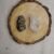 Pyrite and Clear Quartz AAA Grade Raw Natural Crystal Combo with Wooden Natural Bark Coaster for Healing, Meditation and Manifestation