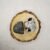 Hematite and Rainbow MoonStone AAA Grade Raw Natural Crystal Combo with Wooden Natural Bark Coaster for Healing, Meditation and Manifestation