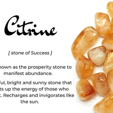 Divine Spirituals Natural Citrine Tumbled AAA+ Stone Pebbles | Tumbles for Reiki Healing Crystal Aura Chakra Vastu Fengshui Prosperity and Abundance (50 Grams) Chakra Tumbled Stones Abundance Stones 2