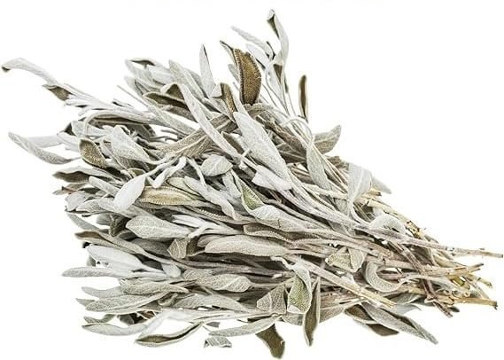 Divine Spirituals White Sage Leaves | Natural Pure California White Sage Dry Smudge Leaves – for Smudging Ancient Rituals Home Cleansing and Purification, Incense Meditation White Sage Abundance Stones