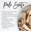 Divine Spirituals Palo Santo Incense Sticks from Ecuador | 2 to 20 Sticks Packs Available | Holy Wood, for Healing, Meditating, and Whole-Body Stress Relief & Support | Wild Harvested, 100% Natural Abundance Stones 4