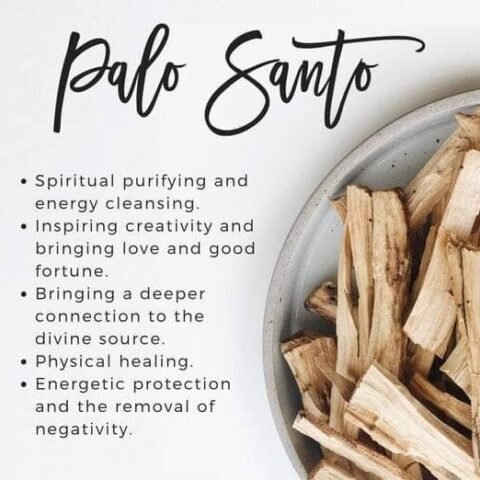 Divine Spirituals Palo Santo Incense Sticks from Ecuador | 2 to 20 Sticks Packs Available | Holy Wood, for Healing, Meditating, and Whole-Body Stress Relief & Support | Wild Harvested, 100% Natural Palo Santo Abundance Stones