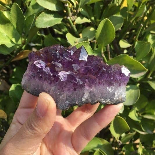 Divine Spirituals Amethyst Natural Cluster/Geode for Reiki Crystal Healing and Meditation – Brazilian Amethyst Clusters | Purple Amethyst Quartz Crystal Cluster Geode Druzy Home Decoration Gemstone Specimen Amethyst Clusters Abundance Stones 8 Divine Spirituals Amethyst Natural Cluster/Geode for Reiki Crystal Healing and Meditation – Brazilian Amethyst Clusters | Purple Amethyst Quartz Crystal Cluster Geode Druzy Home Decoration Gemstone Specimen Amethyst Clusters Abundance Stones 8