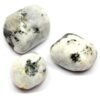 Divine Spirituals Prehnite Natural Healing Crystal Tumble Stone (Value Pack of 2 AAA Grade Natural Tumbles) Chakra Tumbled Stones Abundance Stones 2 Divine Spirituals Prehnite Natural Healing Crystal Tumble Stone (Value Pack of 2 AAA Grade Natural Tumbles) Chakra Tumbled Stones Abundance Stones 2