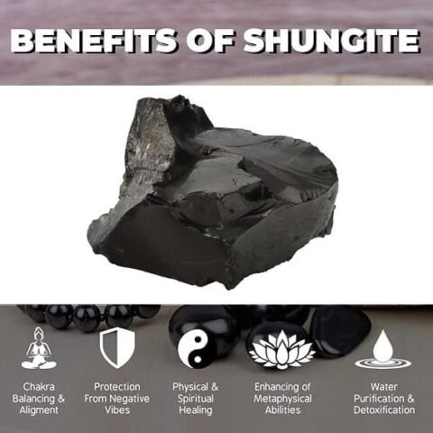 Divine Spirituals 1 lb Karelian Black Shungite Rough Raw Minerals Water Stone Natural Reiki Crystal Rock Tumbling and Lapidary Specimens Natural Healing Crystals Abundance Stones 2