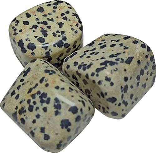 Divine Spirituals Dalmation Jasper Crystal Original Tumble for protection and shielding to encouraging openness of expression (Value Pack of 2) Chakra Tumbled Stones Abundance Stones 4 Divine Spirituals Dalmation Jasper Crystal Original Tumble for protection and shielding to encouraging openness of expression (Value Pack of 2) Chakra Tumbled Stones Abundance Stones 4