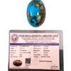 Divine Spirituals Real Original Firoza Turquoise Gemstone for Men and Women – Oval Shaped for Ring and Pendant Premium Turquoise Jewellery – The Stone of Compassion and Success 14.85 Carat Irani Firoza Abundance Stones 2 Divine Spirituals Real Original Firoza Turquoise Gemstone for Men and Women – Oval Shaped for Ring and Pendant Premium Turquoise Jewellery – The Stone of Compassion and Success 14.85 Carat Irani Firoza Abundance Stones 2