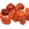 Divine Spirituals Carnelian Natural Healing Crystal Tumble Stone (Value Pack of 2 AAA Grade Natural Tumbles) Chakra Tumbled Stones Abundance Stones 7