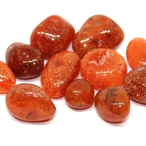 Divine Spirituals Carnelian Natural Healing Crystal Tumble Stone (Value Pack of 2 AAA Grade Natural Tumbles) Chakra Tumbled Stones Abundance Stones
