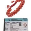 Divine Spirituals Natural Original Healing Crystal Gemstone bracelets to amplify and magnify healing energy, clear, and balance chakras. (Lab Certified Rainbow Moonstone Bracelet) Chakra Healing Bracelets Abundance Stones 2