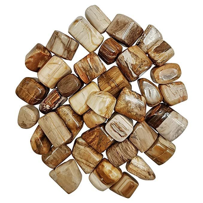 Divine Spirituals Natural Petrified Wood Tumbled Stone Pebbles Of Earth Energy-Vastu Fengshui Aura Chakra Reiki Healing Crystals Chakra Tumbled Stones Abundance Stones 4 Divine Spirituals Natural Petrified Wood Tumbled Stone Pebbles Of Earth Energy-Vastu Fengshui Aura Chakra Reiki Healing Crystals Chakra Tumbled Stones Abundance Stones 4