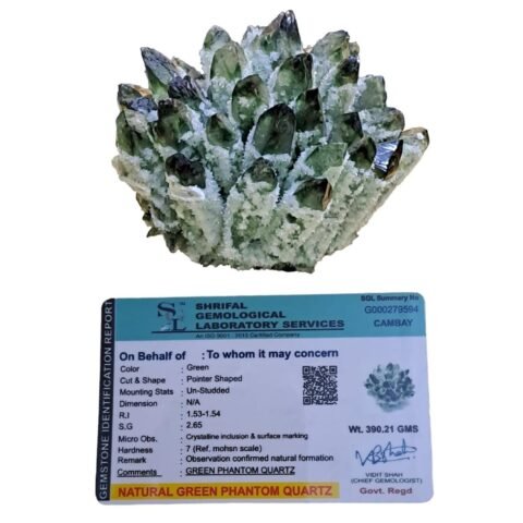 Divine Spirituals The Certified Natural Pure Quartz Family Green Jade Phantom Cluster Geodes – Citrine / Ametrine / Amethyst / Smoky Quartz / Clear Quartz / Green Jade – Rare Earth Natural Formations (Green Jade Family Cluster) Sacred Sanctuary Abundance Stones