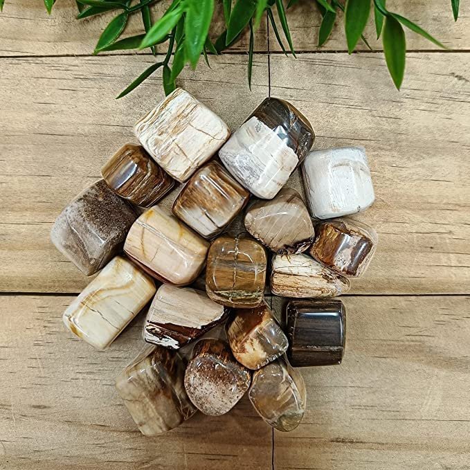 Divine Spirituals Natural Petrified Wood Tumbled Stone Pebbles Of Earth Energy-Vastu Fengshui Aura Chakra Reiki Healing Crystals Chakra Tumbled Stones Abundance Stones 6 Divine Spirituals Natural Petrified Wood Tumbled Stone Pebbles Of Earth Energy-Vastu Fengshui Aura Chakra Reiki Healing Crystals Chakra Tumbled Stones Abundance Stones 6