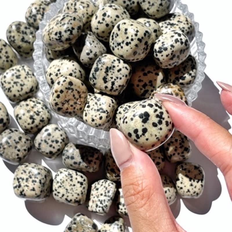Divine Spirituals Amazonite Power Original Crystal Tumble for Inner Strength and Commitment (Value Pack of 2) Chakra Tumbled Stones Abundance Stones 2