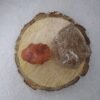 Divine Spirituals Carnelian and Smoky Quartz AAA Grade Raw Natural Crystal Combo with Wooden Natural Bark Coaster for Healing, Meditation and Manifestation Natural Healing Crystals Abundance Stones 4