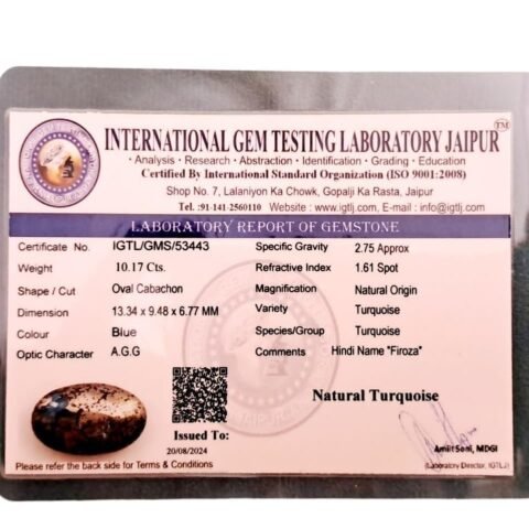 Divine Spirituals Natural Firoza Turquoise Beautiful Pure Lab Certified Irani Firoza Exclusive Double Polished Gemstones for Peace, Protection Name and Fame for Men and Women (10 to 12 Carat) Irani Firoza Abundance Stones