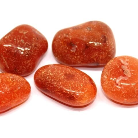 Divine Spirituals Carnelian Natural Healing Crystal Tumble Stone (Value Pack of 2 AAA Grade Natural Tumbles) Chakra Tumbled Stones Abundance Stones 2