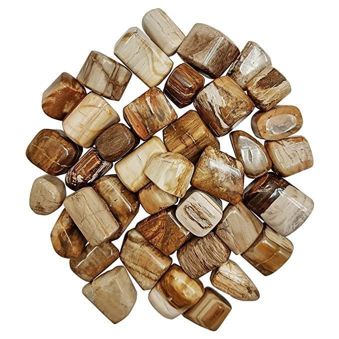 Divine Spirituals Natural Petrified Wood Tumble Pebbles Stones for Reiki Healing Financial Abundance, Wealth, Will Power and Prosperity Chakra Tumbled Stones Abundance Stones