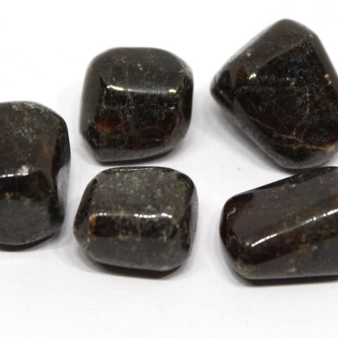 Divine Spirituals Garnet Natural Healing Crystal Tumble Stone (Value Pack of 2 AAA Grade Natural Tumbles) Chakra Tumbled Stones Abundance Stones