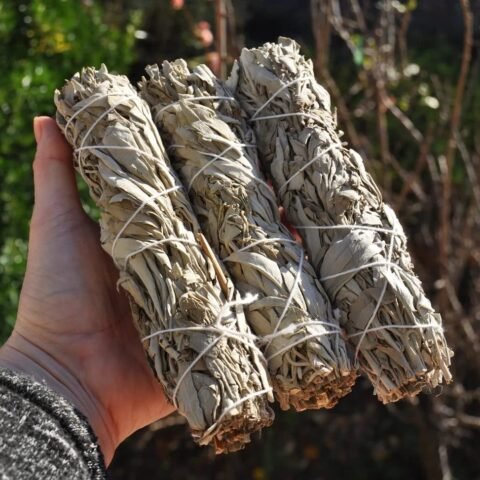 Divine Spirituals White Sage White California Sage Smudge Sticks (6 Inch) for Home Cleansing Ancient Rituals and Healing Meditation – Pack of 12 White Sage Abundance Stones 2