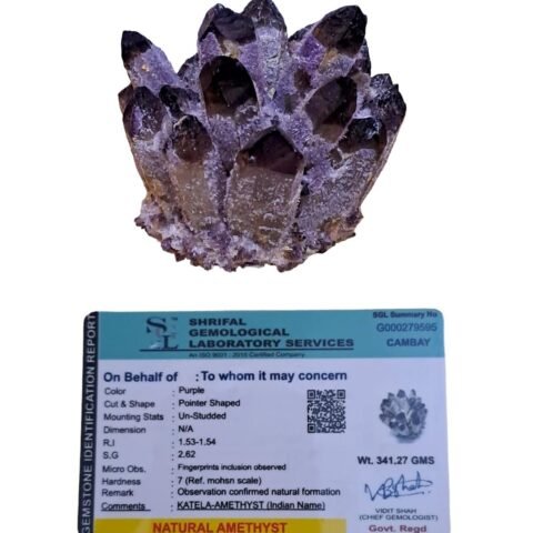 Divine Spirituals The Certified Natural Amethyst Pure Quartz Family Phantom Cluster Geodes – Rare Earth Natural Formations (Amethyst Family Cluster) Figurine Abundance Stones