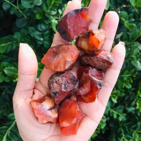 Divine Spirituals Natural Red Carnelian Raw Rough Stones. Weight : 100 to 150 Grams Approx. | Pack of 1 to 4 Beautiful Natural Raw Stones depending on Raw Crystal Stone Size | Hand Picked and Cleaned Natural Healing Crystals Abundance Stones 2