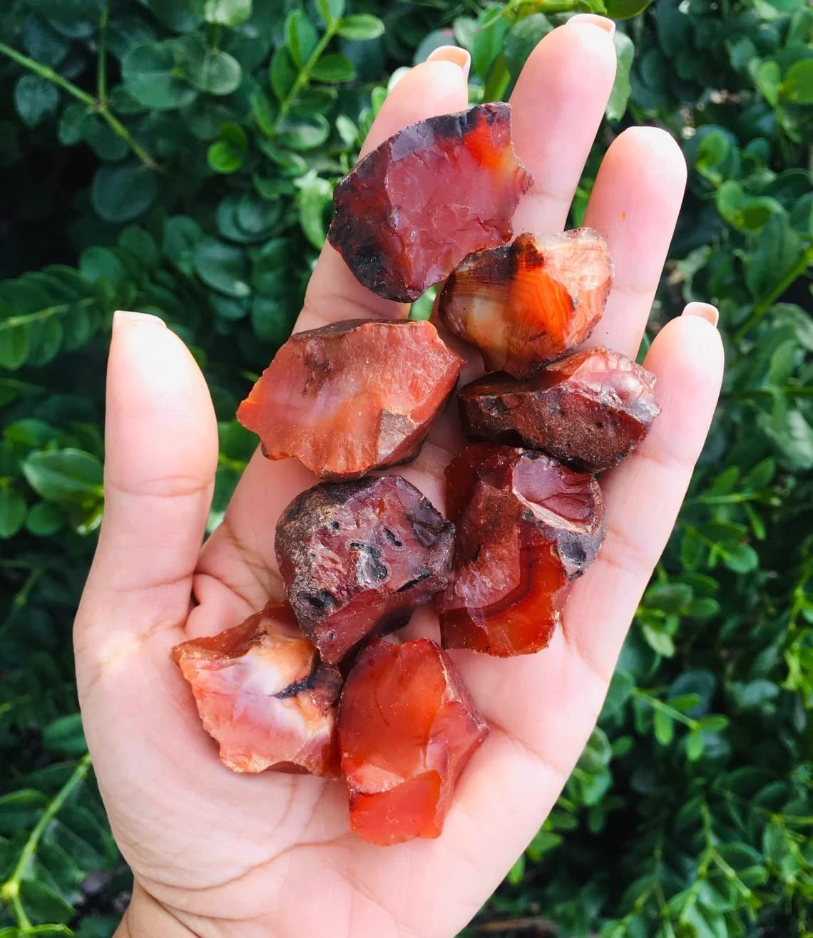 Divine Spirituals Natural Red Carnelian Raw Rough Stones. Weight : 100 to 150 Grams Approx. | Pack of 1 to 4 Beautiful Natural Raw Stones depending on Raw Crystal Stone Size Natural Healing Crystals Abundance Stones 6 Divine Spirituals Natural Red Carnelian Raw Rough Stones. Weight : 100 to 150 Grams Approx. | Pack of 1 to 4 Beautiful Natural Raw Stones depending on Raw Crystal Stone Size Natural Healing Crystals Abundance Stones 6