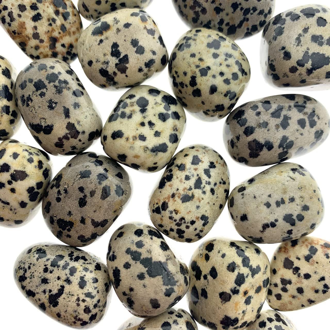Divine Spirituals Dalmation Jasper Crystal Original Tumble for protection and shielding to encouraging openness of expression (Value Pack of 2) Chakra Tumbled Stones Abundance Stones 5 Divine Spirituals Dalmation Jasper Crystal Original Tumble for protection and shielding to encouraging openness of expression (Value Pack of 2) Chakra Tumbled Stones Abundance Stones 5