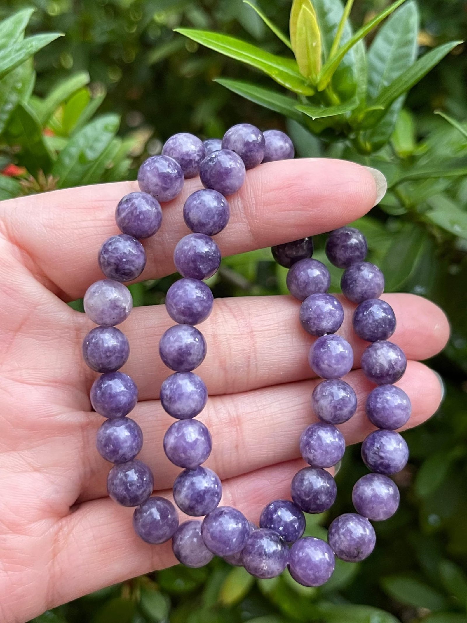 Divine Spirituals Lepidolite Natural Bracelet Natural Pure Certified For Men and Women Adjustable 8mm Lab Certified Gemstone For Men and Women Bracelet for Healing Meditation Success and Abundance Chakra Healing Bracelets Abundance Stones 10 Divine Spirituals Lepidolite Natural Bracelet Natural Pure Certified For Men and Women Adjustable 8mm Lab Certified Gemstone For Men and Women Bracelet for Healing Meditation Success and Abundance Chakra Healing Bracelets Abundance Stones 10
