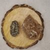 Divine Spirituals Pyrite and Smoky Quartz AAA Grade Raw Natural Crystal Combo with Wooden Natural Bark Coaster for Healing, Meditation and Manifestation Cubical Pyrite Clusters Abundance Stones 4
